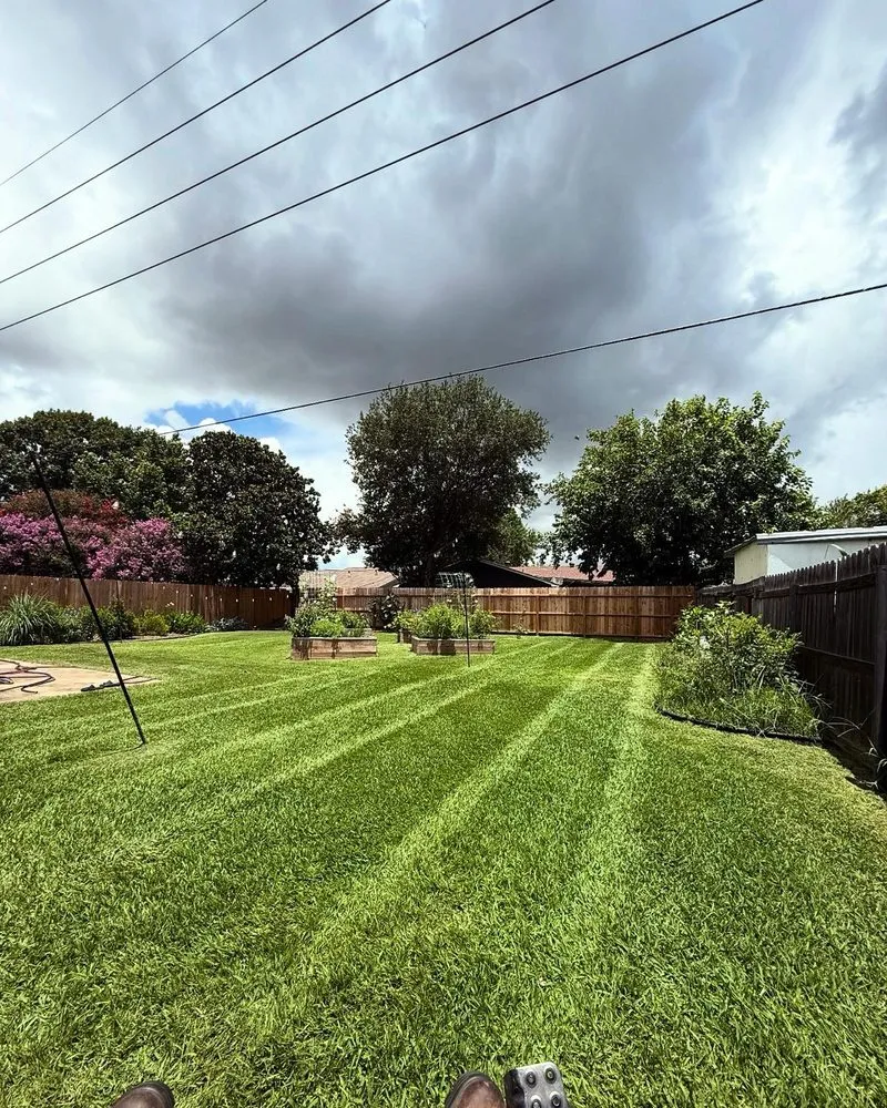 Trusted yard cleanup service in Houston, TX - Munoz Service Crew