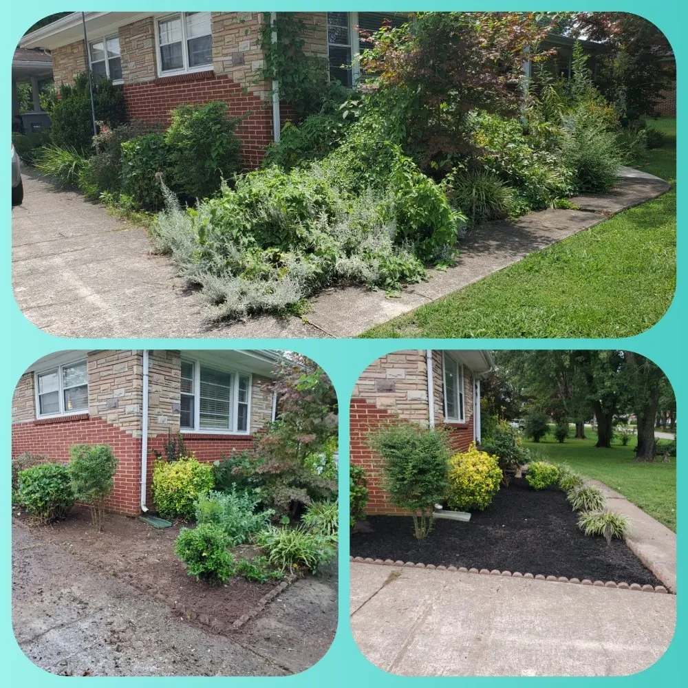 Custom yard cleanup service for outdoor upgrades in McMinnville, TN by Munoz Services