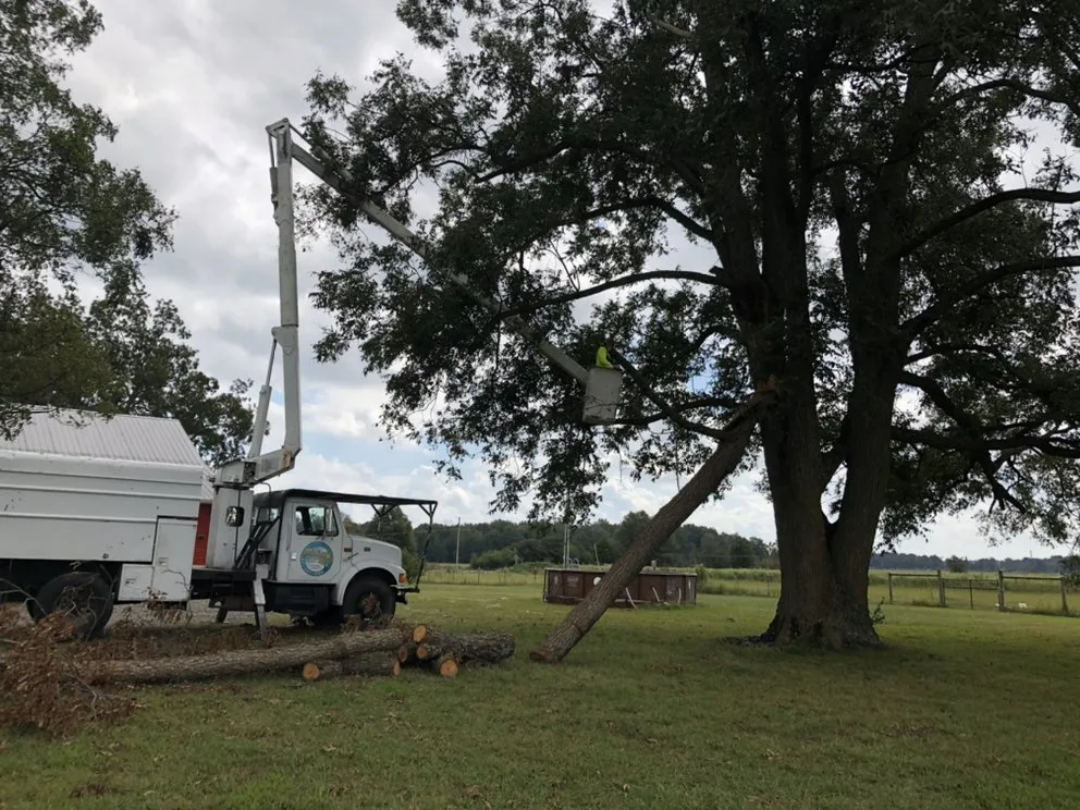 Custom yard maintenance in Kensett, AR - Munoz Tree & Lawn Service