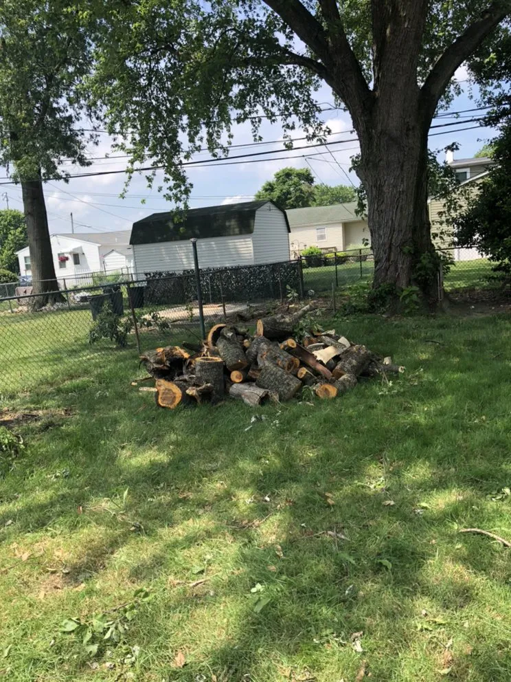 Reliable landscape design near you across Langhorne, PA - Munz's Landscaping & Construction