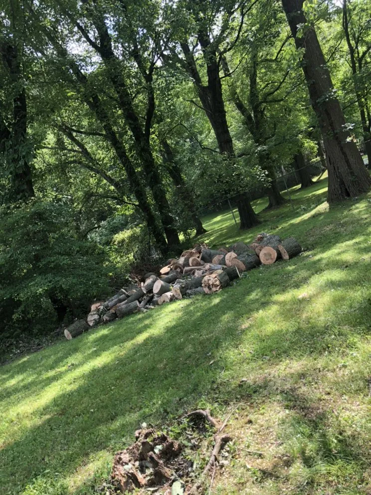 Local yard cleanup service experts serving Langhorne, PA - Munz's Landscaping & Construction