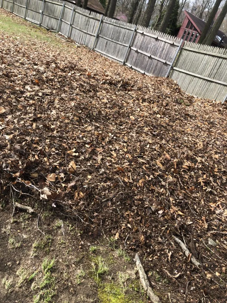 Trusted yard cleanup service in Langhorne, PA - Munz's Landscaping & Construction