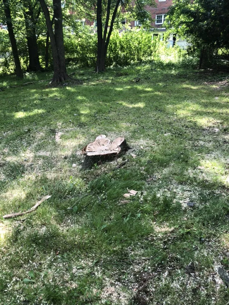 Top-rated yard maintenance with custom design across Langhorne, PA - Munz's Landscaping & Construction