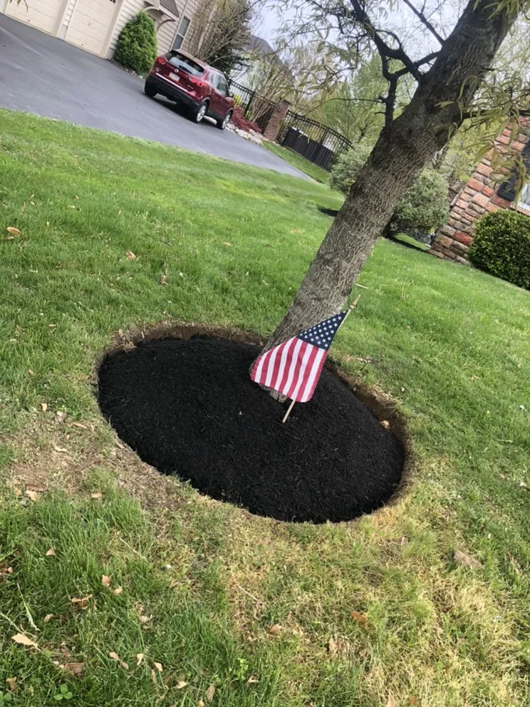 Top-rated lawn care service experts serving Langhorne, PA - Munz's Landscaping & Construction