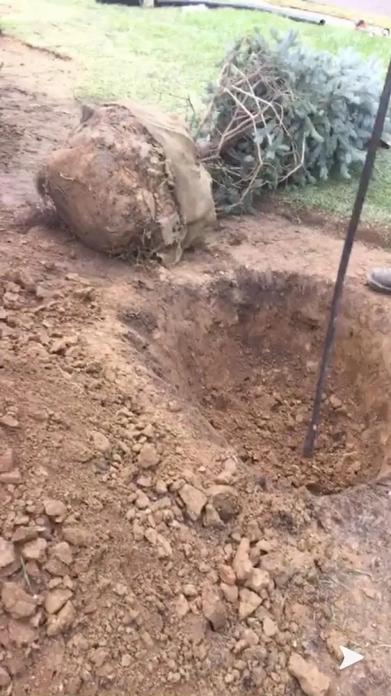 Expert yard maintenance for year-round maintenance in Langhorne, PA by Munz's Landscaping & Construction