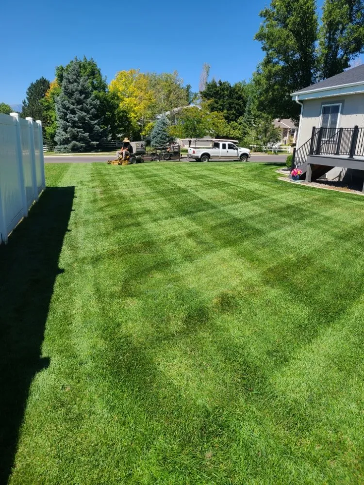 Custom yard cleanup service for homes in Orem, UT by Muñoz Landscaping