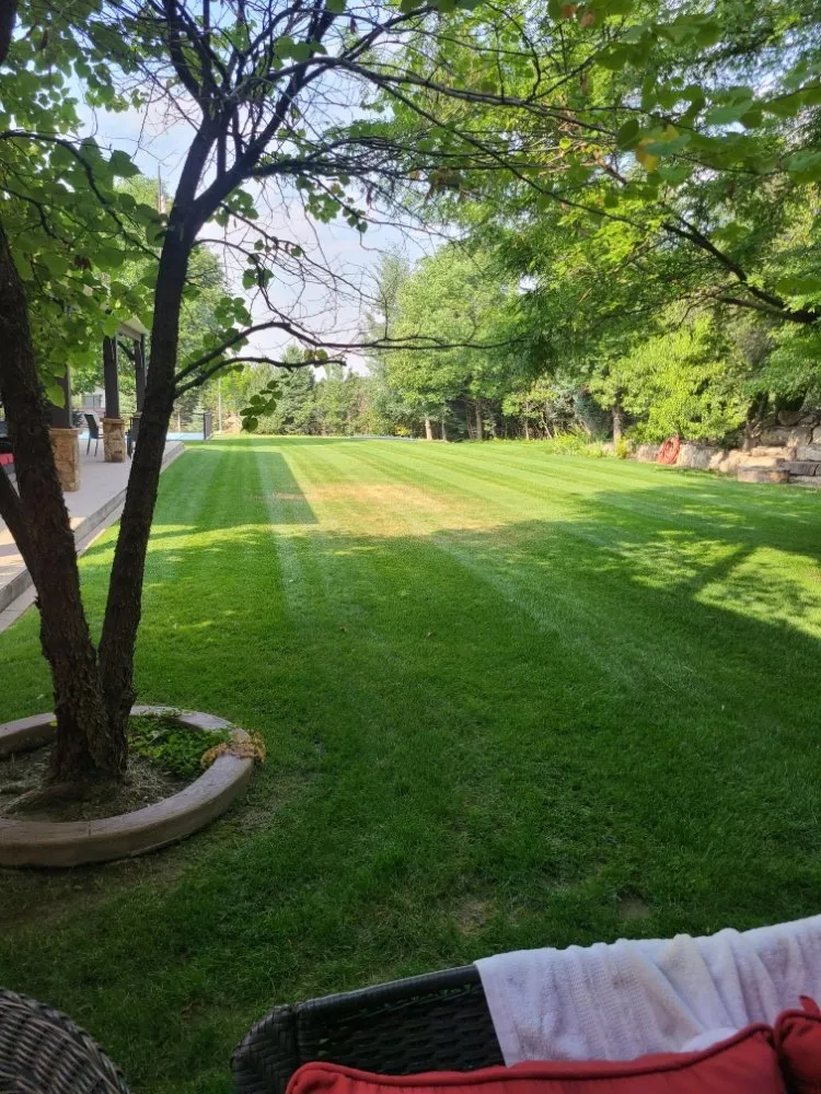 Professional yard maintenance in Orem, UT - Muñoz Landscaping