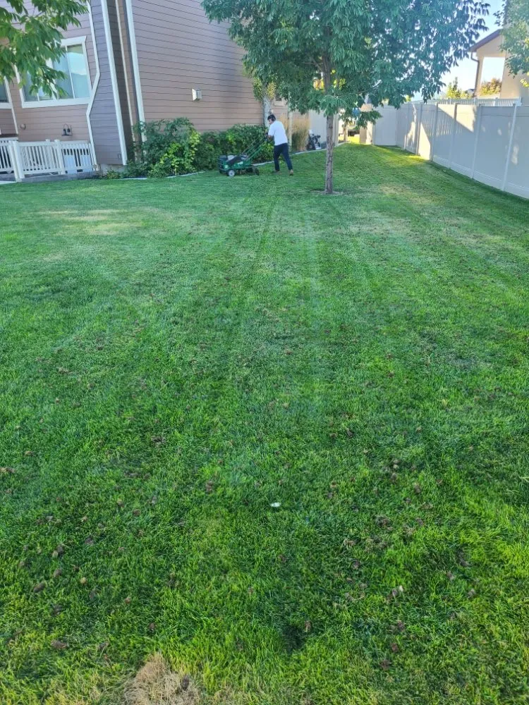 Custom landscape installation with custom design in Orem, UT by Muñoz Landscaping