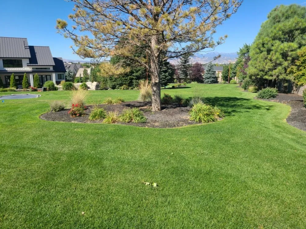 Expert garden landscaping experts serving Orem, UT - Muñoz Landscaping