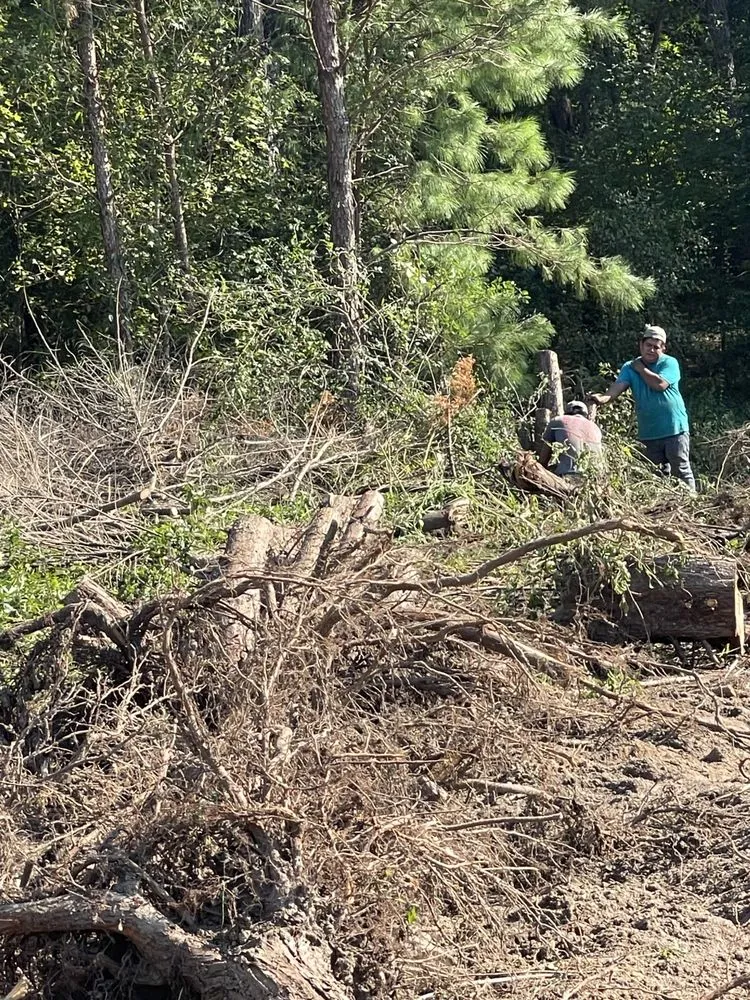 Professional lawn care service in Round Rock, TX by Muñoz Landscaping Solutions