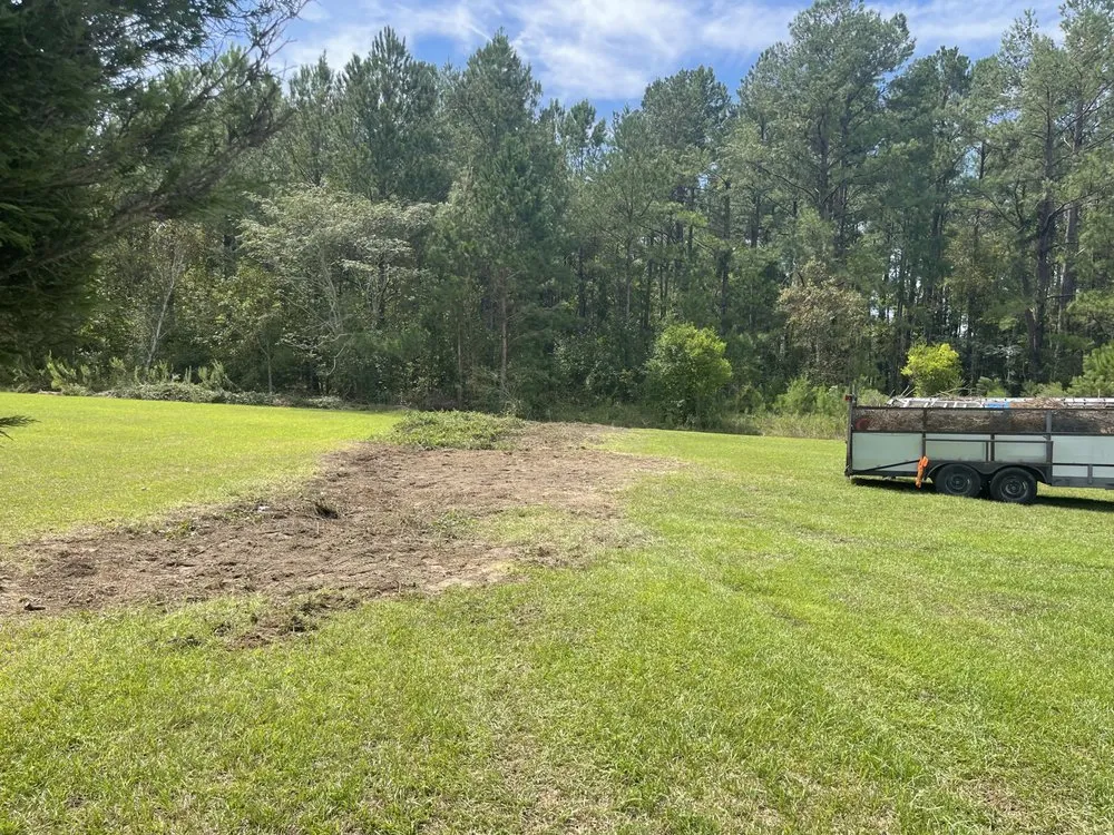 Custom lawn mowing service in Round Rock, TX by Muñoz Landscaping Solutions