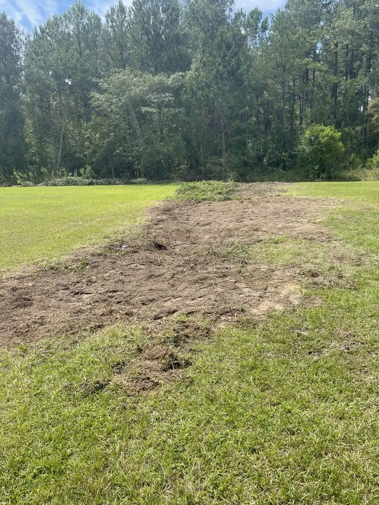 Local yard cleanup service for outdoor upgrades across Round Rock, TX - Muñoz Landscaping Solutions