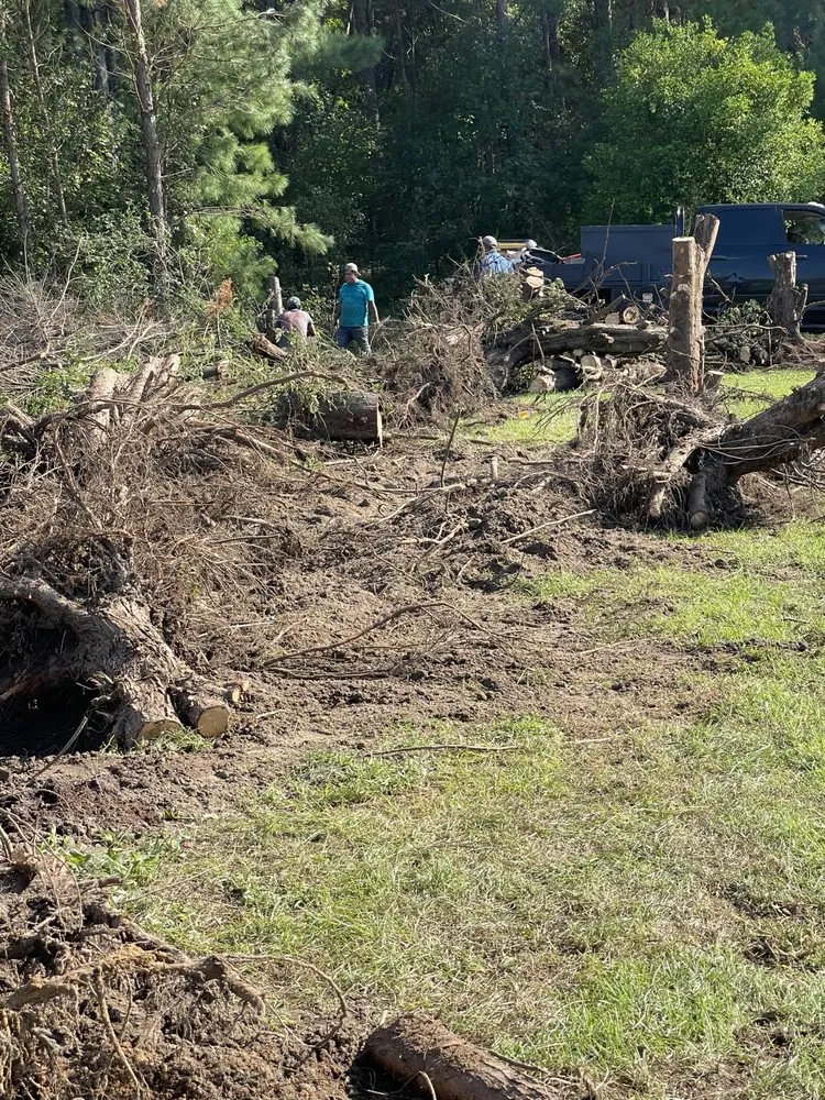 Professional landscaping services near you in Round Rock, TX by Muñoz Landscaping Solutions