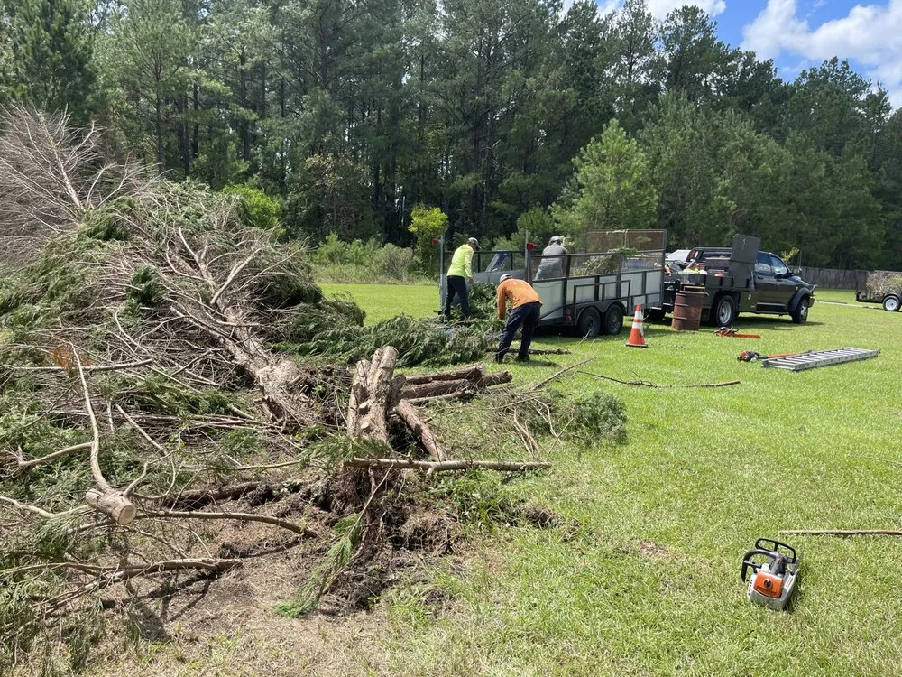 Expert yard maintenance in Round Rock, TX by Muñoz Landscaping Solutions