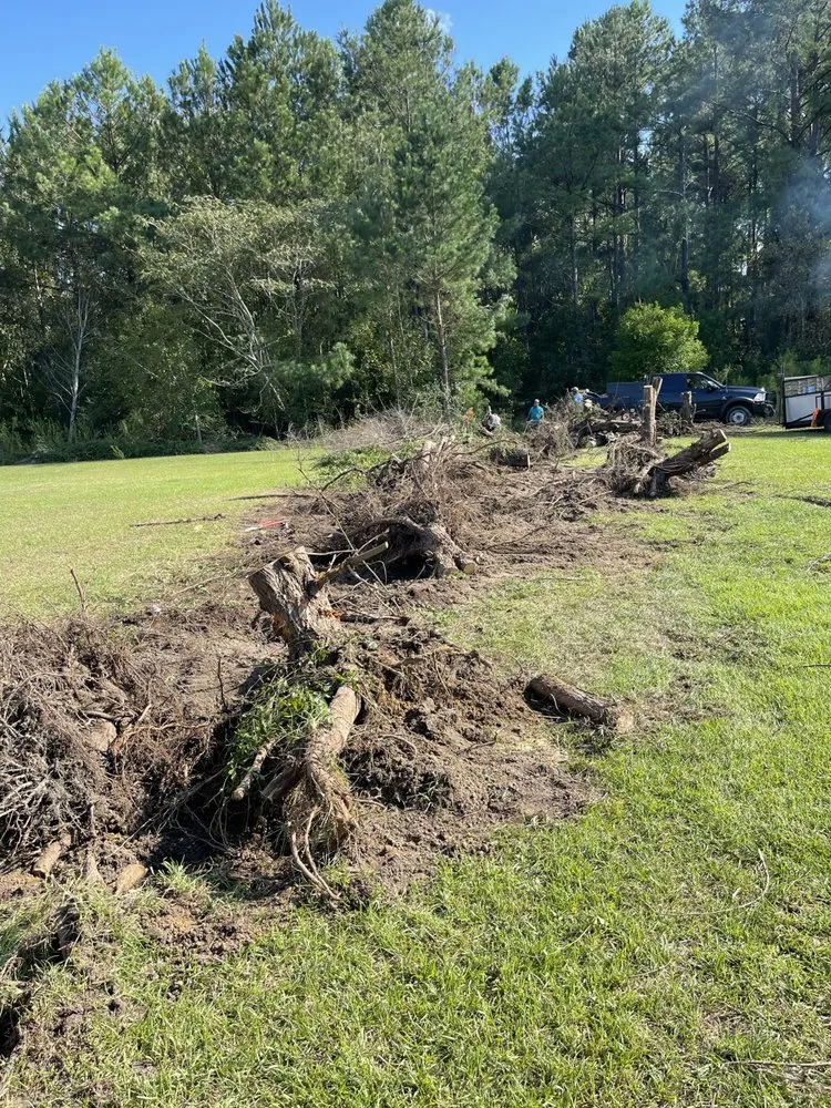 Affordable landscape installation in Round Rock, TX by Muñoz Landscaping Solutions