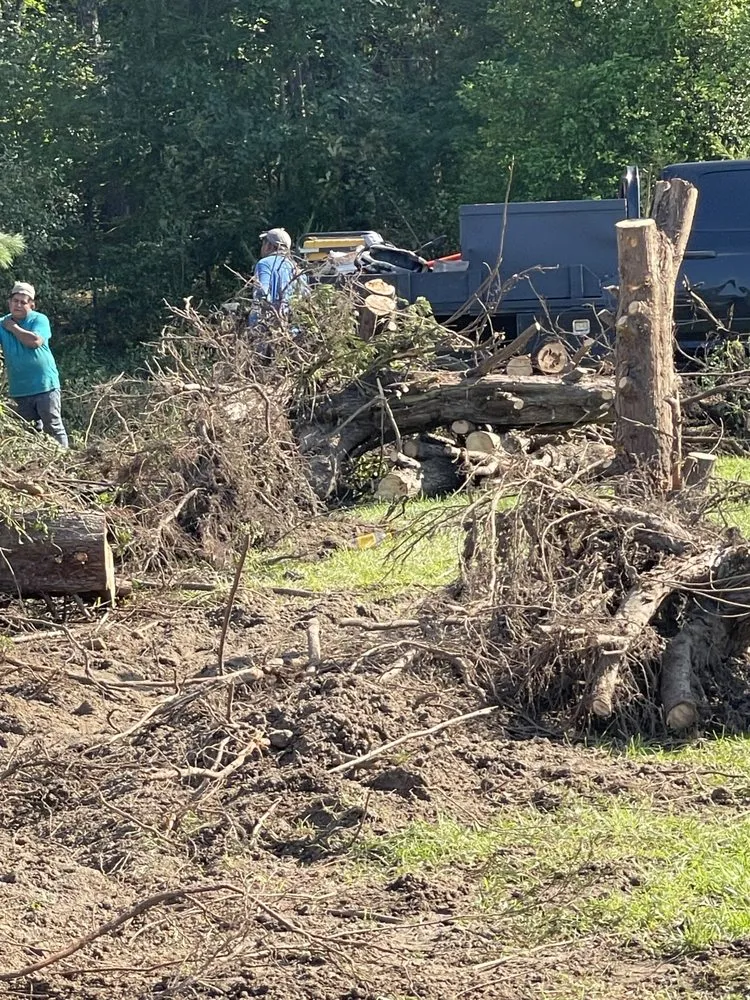 Affordable garden landscaping experts serving Round Rock, TX - Muñoz Landscaping Solutions