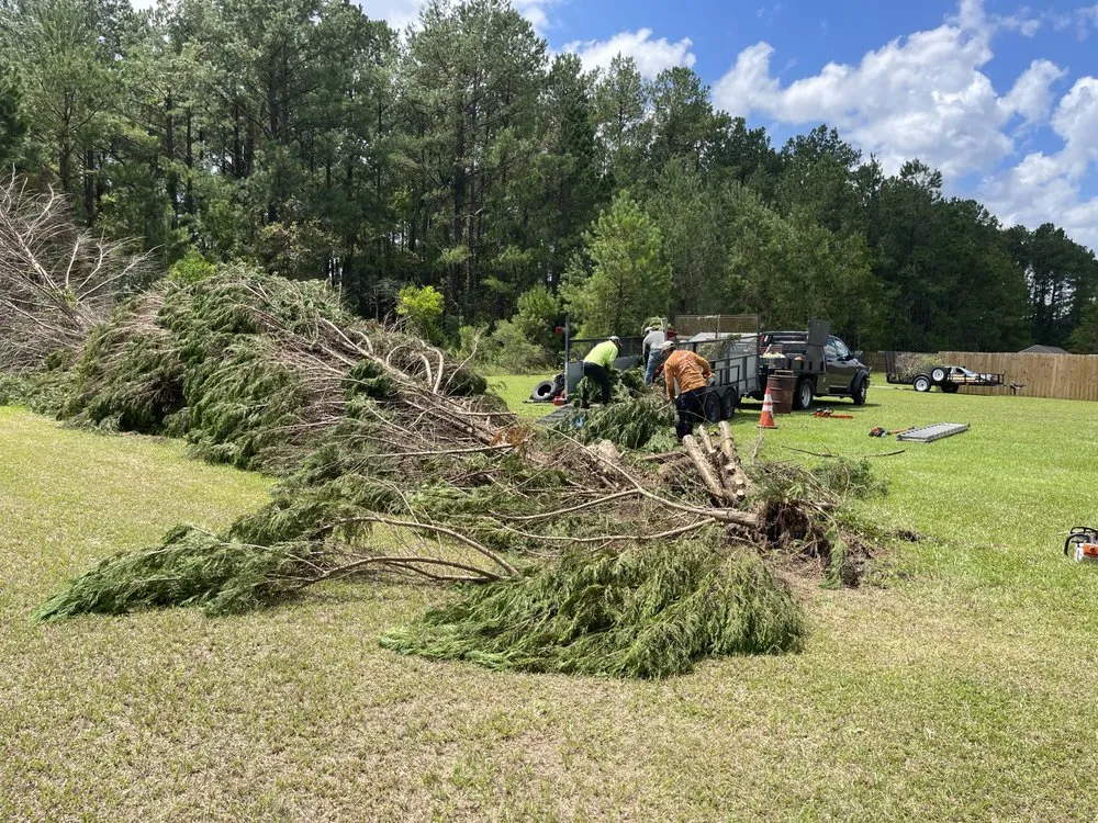 Reliable lawn care service in Round Rock, TX by Muñoz Landscaping Solutions