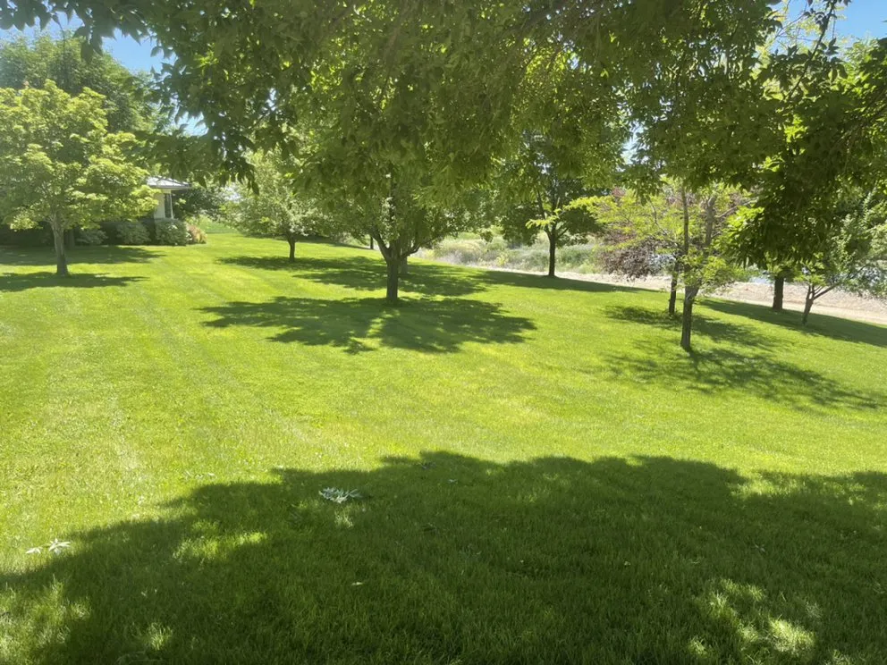 Custom yard cleanup service in Caldwell, ID - Muñoz’s Home and Lawn Care Services