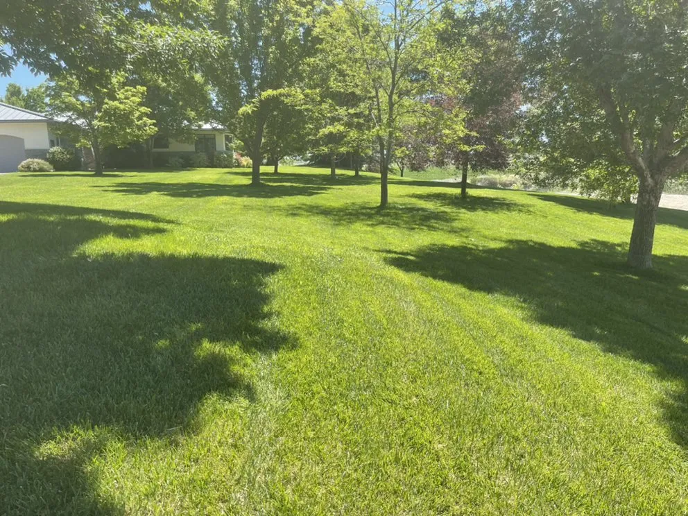 Affordable garden landscaping for outdoor upgrades in Caldwell, ID by Muñoz’s Home and Lawn Care Services