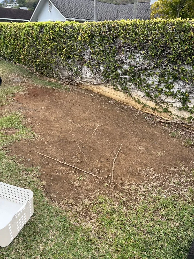 Professional landscaping services in Kaneohe, HI by Murakami Landscaping