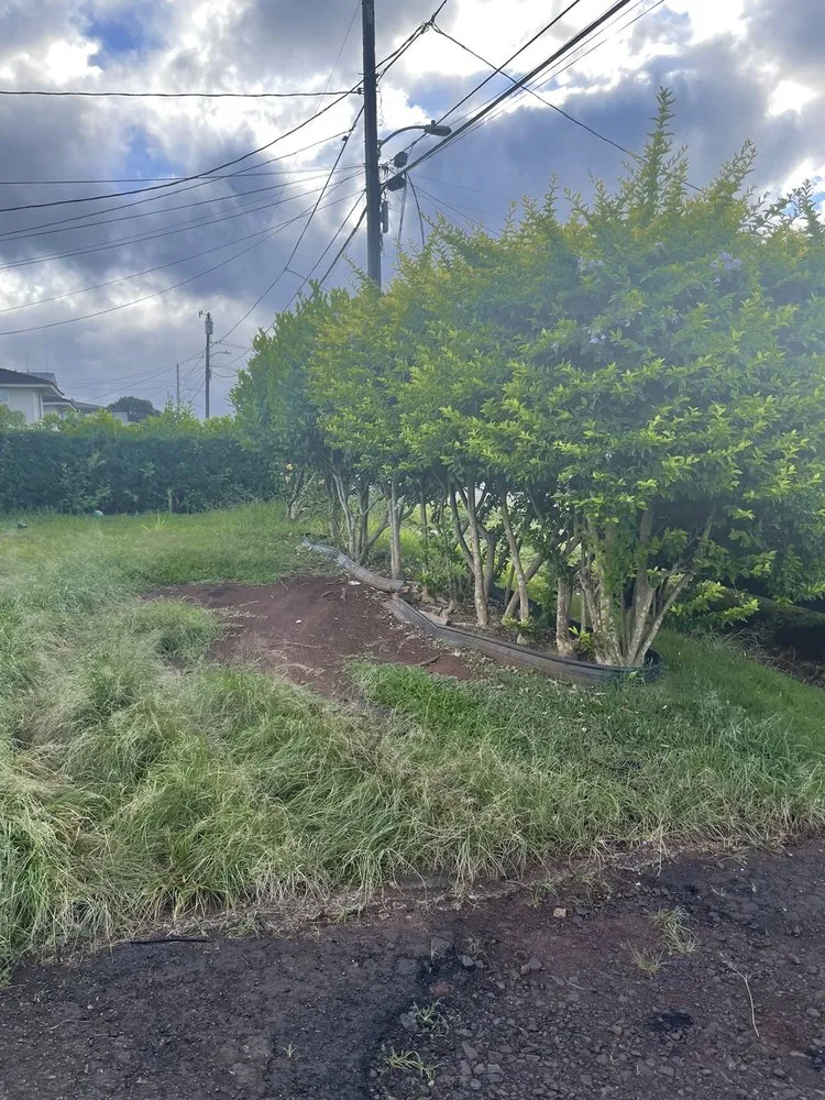 Custom yard cleanup service in Kaneohe, HI - Murakami Landscaping