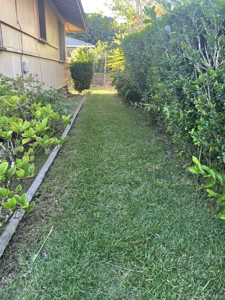 Professional yard maintenance near you in Kaneohe, HI by Murakami Landscaping