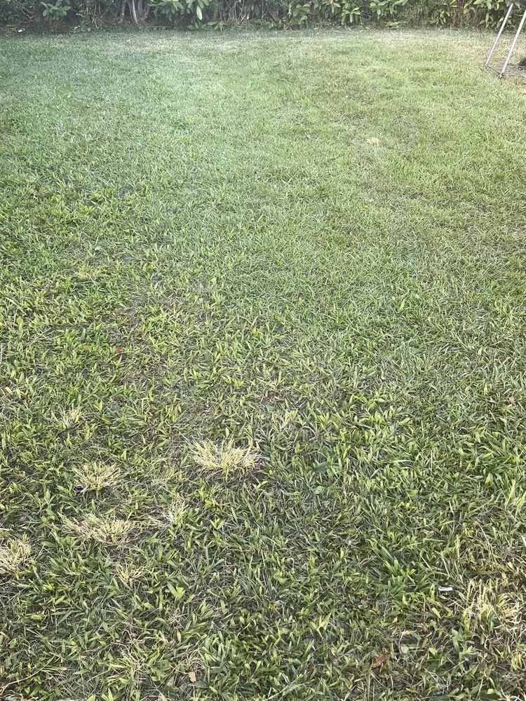 Custom garden landscaping for residential properties across Kaneohe, HI - Murakami Landscaping