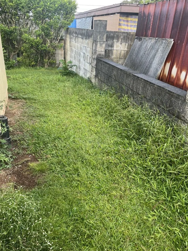 Trusted landscape design for year-round maintenance in Kaneohe, HI by Murakami Landscaping