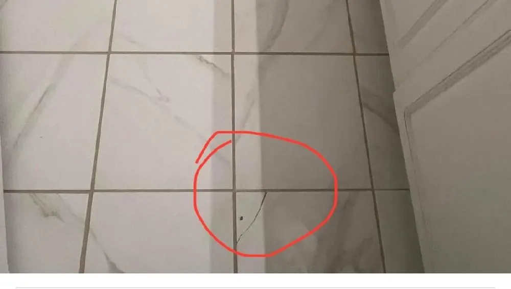 Expert lawn care service for outdoor upgrades across Anderson, SC - Murdock's Landscaping & Home Management