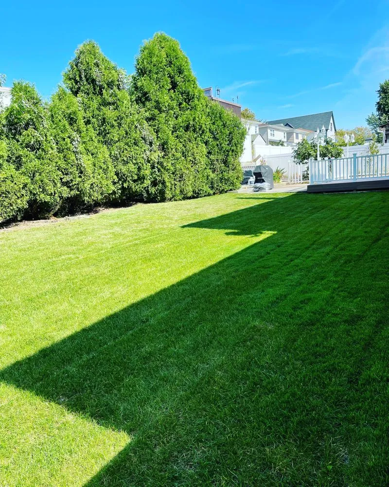 Expert landscape design in Staten Island, NY - Muriale Landscaping