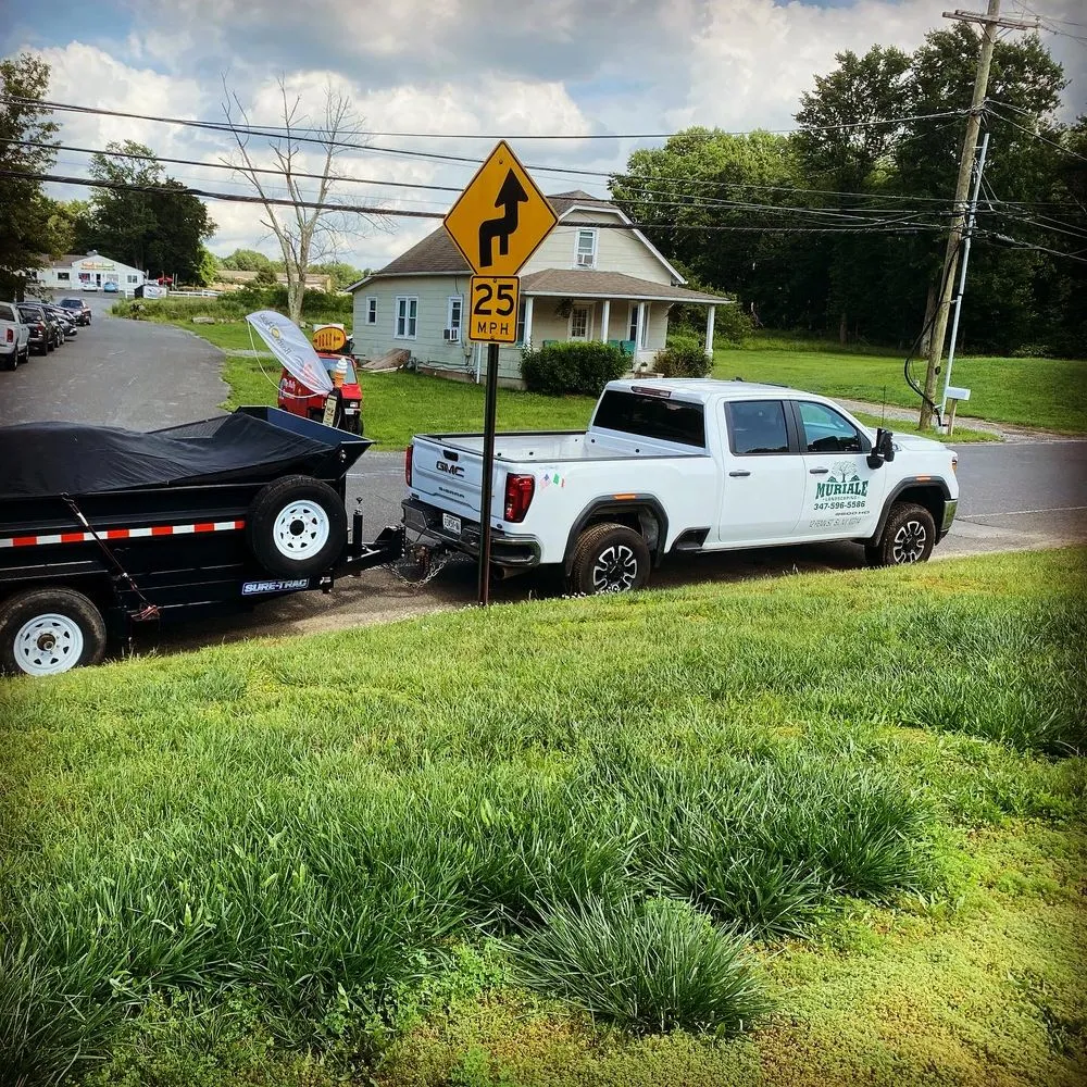 Local lawn care service experts serving Staten Island, NY - Muriale Landscaping
