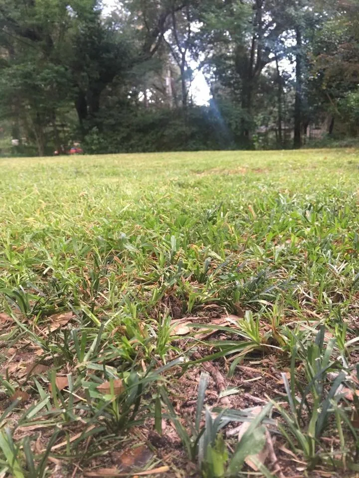 Trusted garden landscaping in Pensacola, FL by Murican' Lawn Service