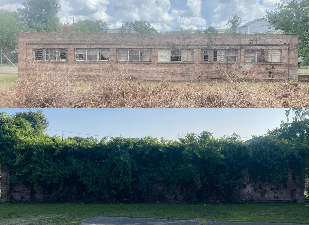 Affordable lawn mowing service in New Orleans, LA by Murier Ecosystem Services