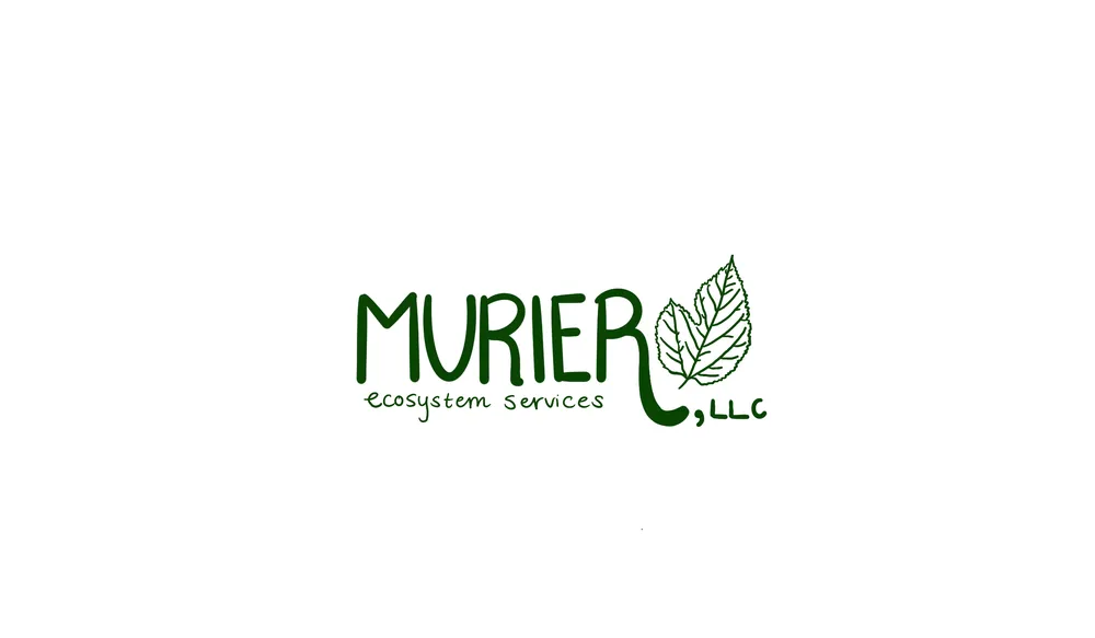 Professional landscape installation for outdoor upgrades across New Orleans, LA - Murier Ecosystem Services