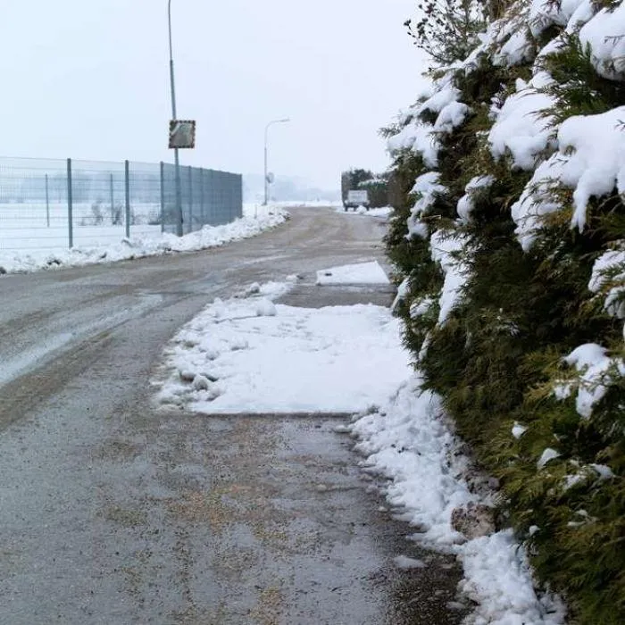 Professional yard cleanup service in Casa Grande, AZ by Murietta Lawn Mower Weed Whacking Crew