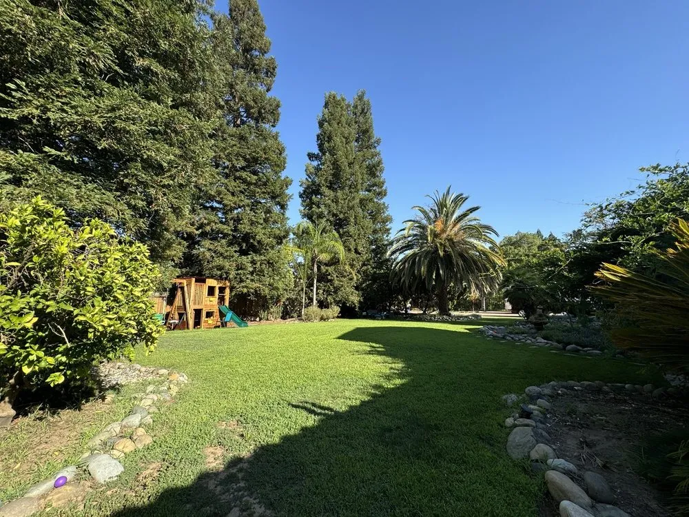 Expert residential landscaping for beautiful yards across El Dorado Hills, CA - Murillo Bros Landscaping