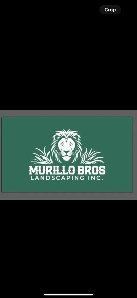Local landscape installation for residential properties across El Dorado Hills, CA - Murillo Bros Landscaping