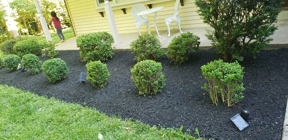 Expert residential landscaping for year-round maintenance across Alexandria, VA - Murillo Flores Landscape