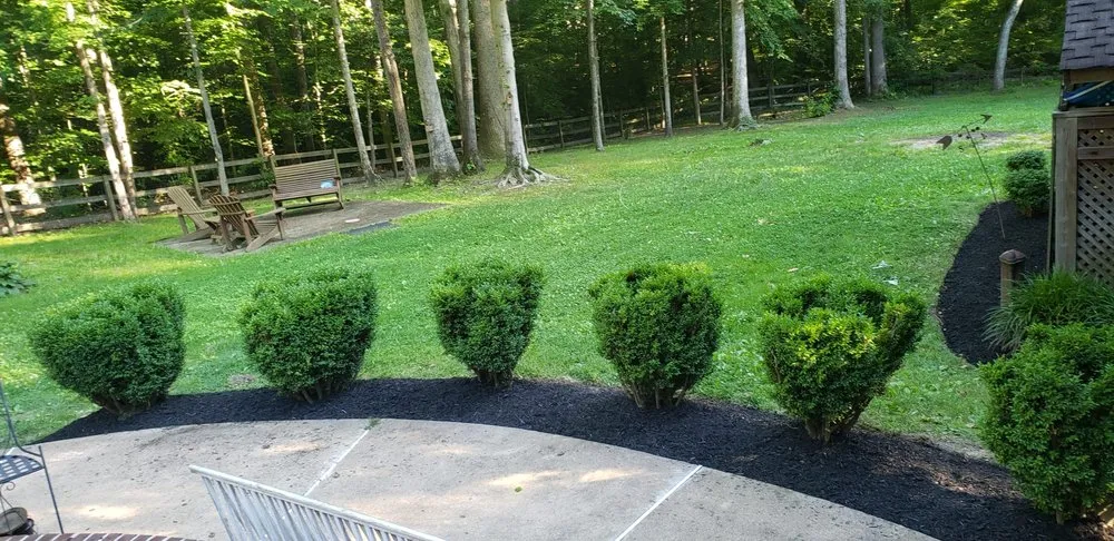 Local landscape design in Alexandria, VA by Murillo Flores Landscape