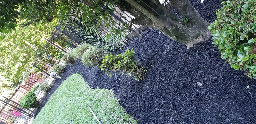 Top-rated garden landscaping experts serving Alexandria, VA - Murillo Flores Landscape