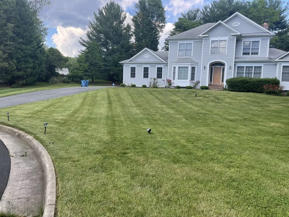 Local landscaping services in Alexandria, VA - Murillo Flores Landscape