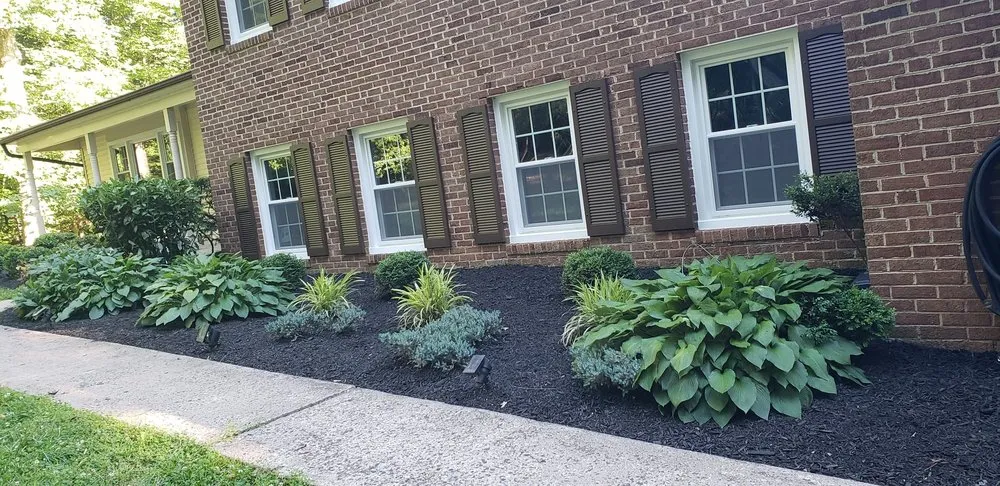 Professional lawn mowing service for year-round maintenance across Alexandria, VA - Murillo Flores Landscape