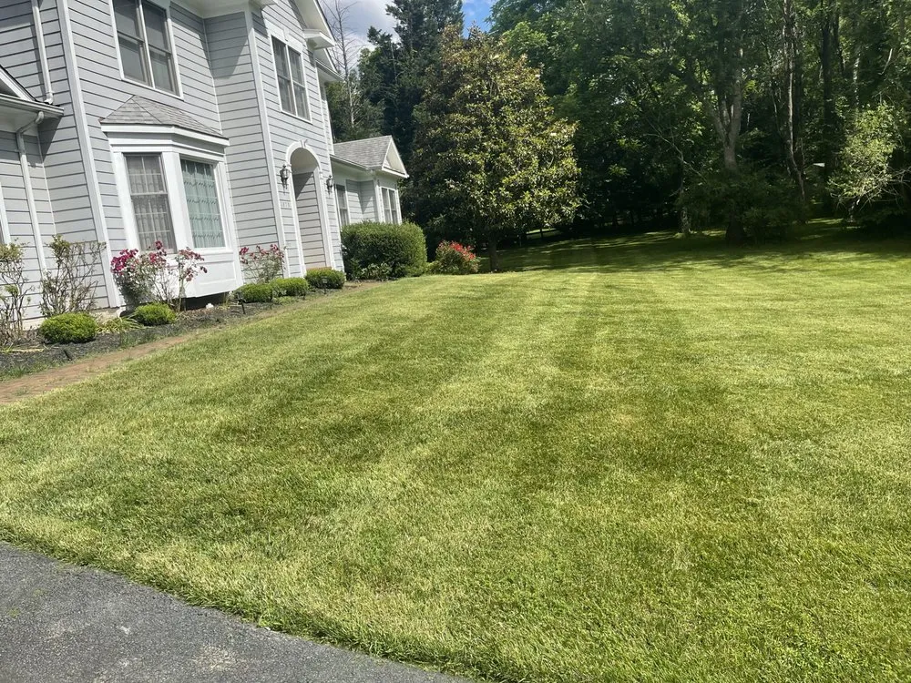 Professional landscape installation for beautiful yards in Alexandria, VA by Murillo Flores Landscape