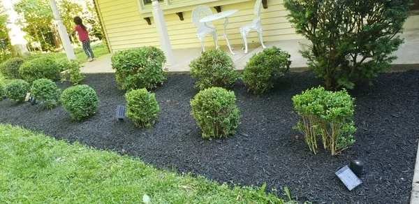 Murillo Flores Landscape Logo