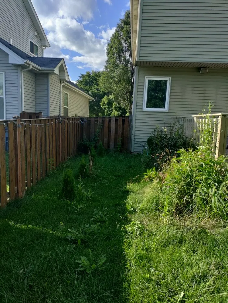 Professional yard maintenance experts serving Aurora, IL - Murillo Landscaping