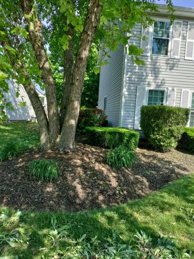 Expert landscape design in Aurora, IL - Murillo Landscaping