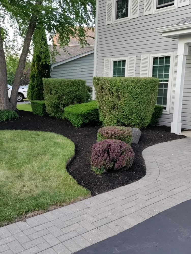 Affordable yard cleanup service in Aurora, IL - Murillo Landscaping