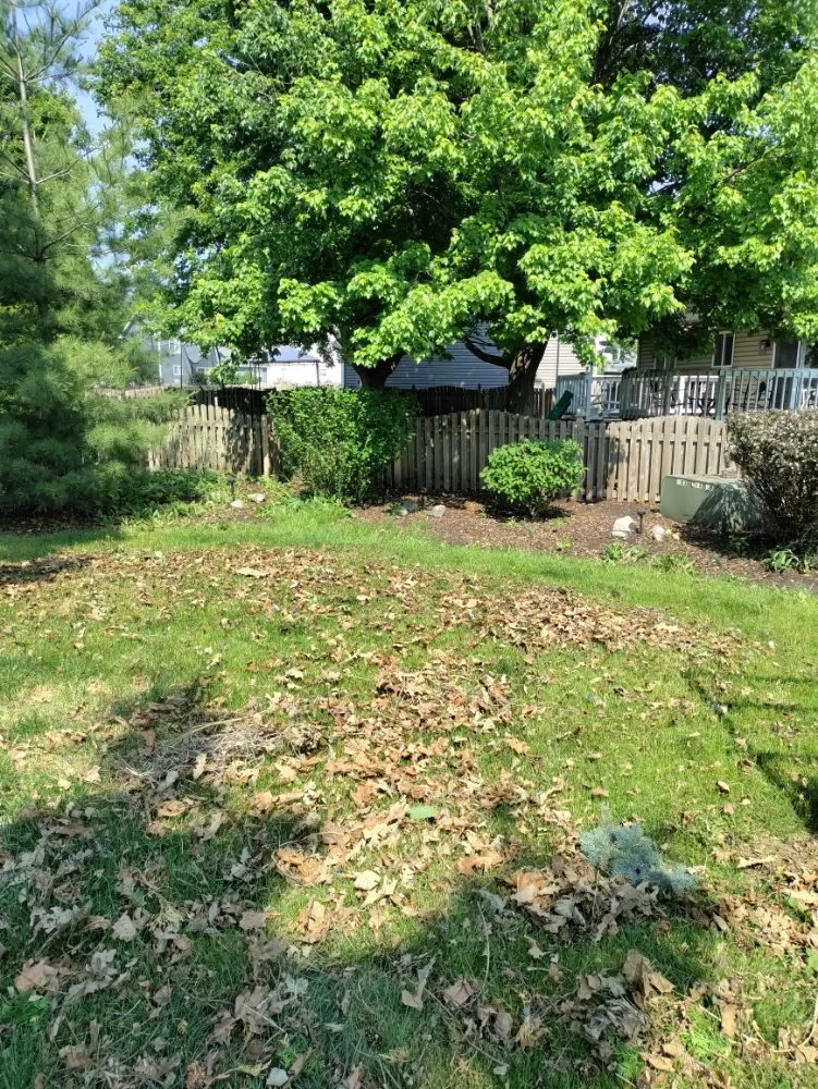 Trusted landscape installation experts serving Aurora, IL - Murillo Landscaping