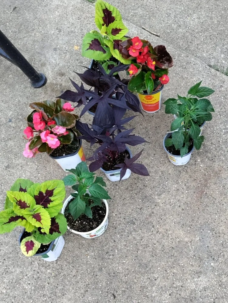 Trusted landscape installation experts serving Aurora, IL - Murillo Landscaping