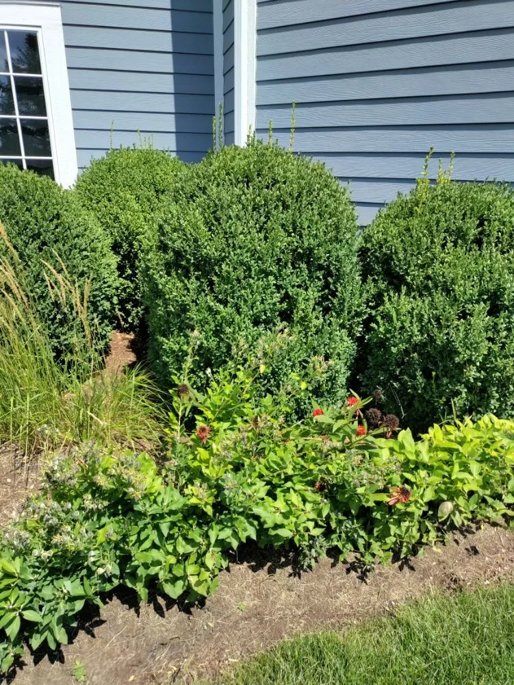 Reliable garden landscaping in Aurora, IL - Murillo Landscaping